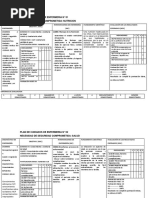 Esquema Plan de Cuidados