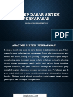 Konsep Dasar Sistem Pernapasan