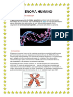 Genoma Humano