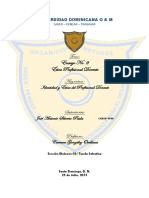 Ensayo Ética Profesional Docente