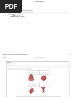 Autoevaluación Obligatoria N°1 PDF