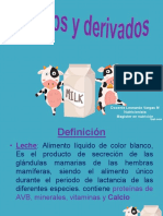 Clase 6 Lácteos y Derivados