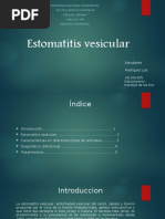 Diapositiva Estomatitis