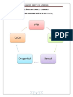 Cáncer Cervico Uterino