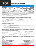 Formato Carta Responsiva Compraventa Vehiculo