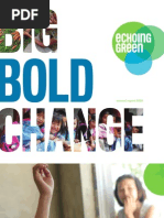 Echoing Green 2010 Annual Report