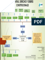 Esquema Derechos Deberes y Garantias