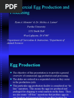 Commercial Egg Production and Processing