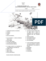 Prueba Ecosistema