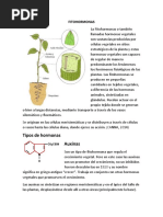 FITOHORMONAS