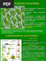 Cloroplastos y Mitocondrias Quimica 2019-1