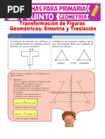 Fichas de Trabajo - Simetria y Traslacion