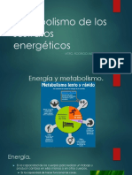 Metabolismo de Los Sustratos Energéticos