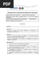 Recursos en El Proceso de Amparo de Legalidad