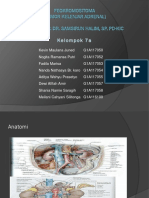 PPT FEOKROMOSITOMA Kelompok 7A