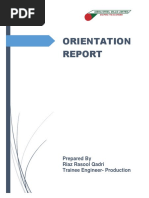 Orientation Report PDF