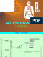 Sistema Endocrino 3 Eso