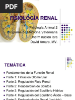 Fisiologia Sistema Renal