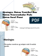 Pertemuan 7 (Jaringan Meninges, Sistem Ventrikel Dan Sistem Neurovaskular)