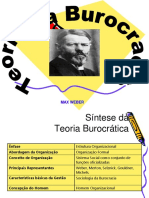 Teoria Burocratica