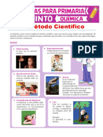 Pasos Del Método Científico para Quinto de Primaria