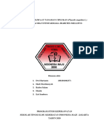 Makalah Manfaat Tanaman Ciplukan