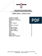 Prueba Acceso Contenido Programa PDF