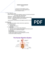 Digestive System Lesson Plan Talavera - Final