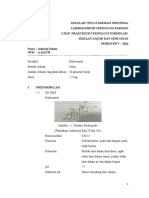 Budesonide Ointment