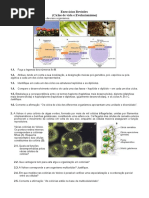 Exercicos Revisões Bio11º