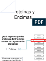 IV°Año Medio. Plan Diferenciado. 2017. Proteínas y Enzimas