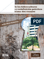 Propiedad de Los Hidrocarburos Venezolanos y Redefinicion Petrolera Latinoamericana Dos Ensayos