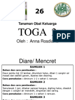 File Toga