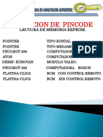 Extraccion de Pincode Lectura Por Dump PDF