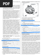 Lectura Critica PDF