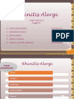 Rhinitis Alergi