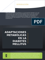 Adaptaciones Metabolicas