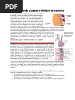 Intercambio de Oxígeno y Dióxido de Carbono