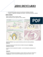 Practica 11 Tejido Dentario