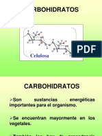 Carbohidratos