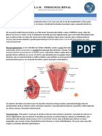 Fisiologia Renal Resumo 01