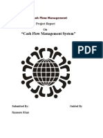 Cash Flow Statement