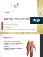 Anatomia e Fisiologia 6 - Sistema Tegumentar