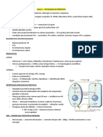 6 Aulas Resumos PATOLOGIA DA PRÓSTATA