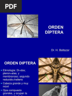 Orden Diptera PDF