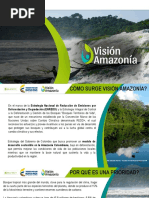 Presentacion Vision Amazonia