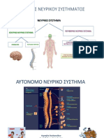 ΠΑΡΟΥΣΙΑΣΗ Α.Ν.Σ