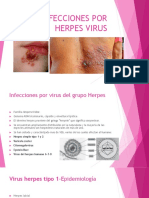 Infecciones Por Herpes Virus