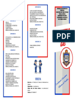 Gas Triptico PDF