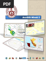 Manual - ArcGIS Nivel I